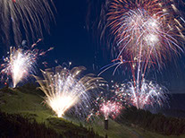 - Design By Creative Bearings