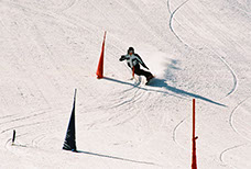 - Design By Creative Bearings