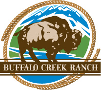 - Design By Creative Bearings