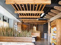 Original Steamboat Photograhy