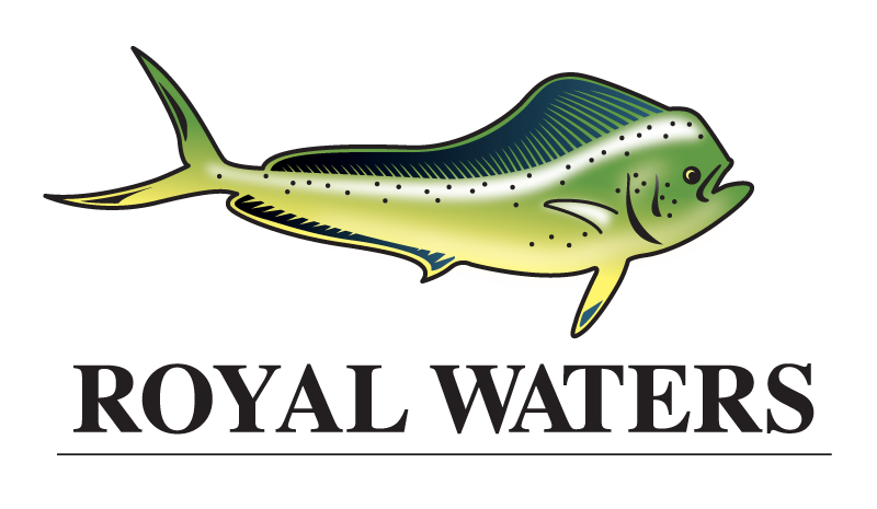 Original Logo Design