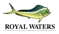 Original Logo Design