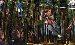 - Design By Creative Bearings