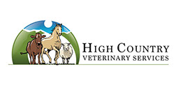 - Design By Creative Bearings