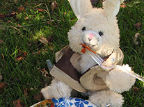 Original Steamboat Advertising Photograhy