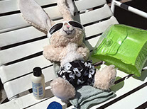 Original Steamboat Advertising Photograhy