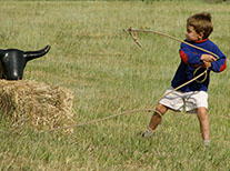 Original Steamboat Advertising Photograhy