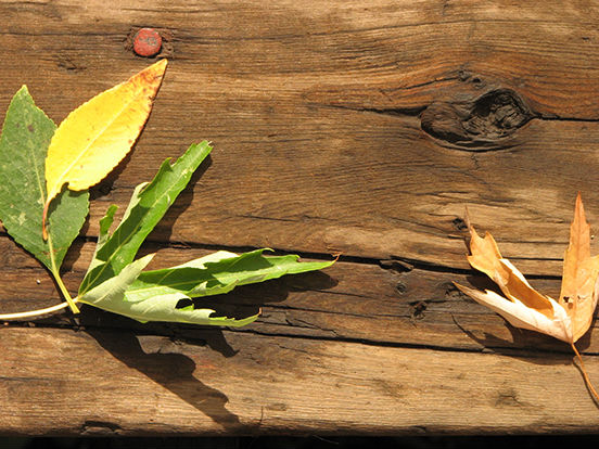 Original Steamboat Advertising Photograhy