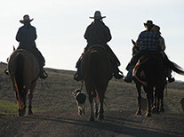 Original Steamboat Advertising Photograhy