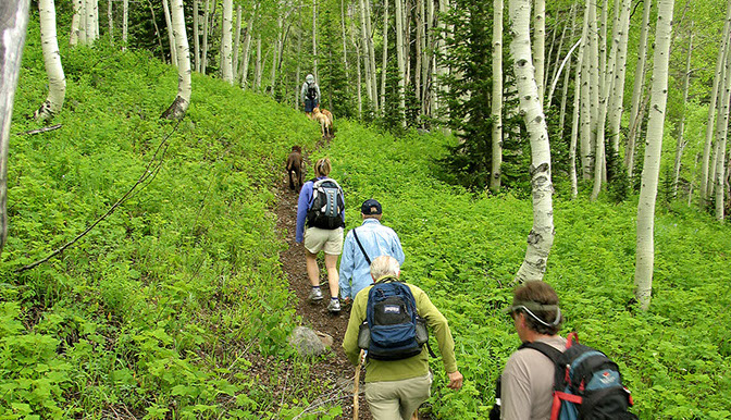 Original Steamboat Advertising Photograhy