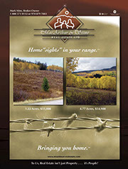 - Design By Creative Bearings