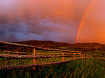 - Design By Creative Bearings