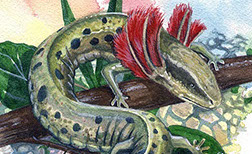 - Design By Creative Bearings