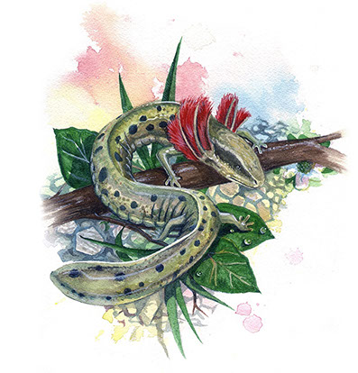 - Design By Creative Bearings