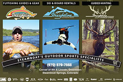 Straightline Ads and Website Design By Creative Bearings