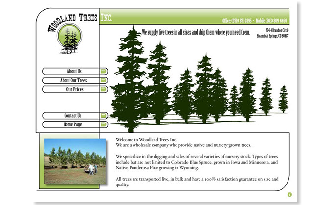 Woodland Trees - Design By Creative Bearings