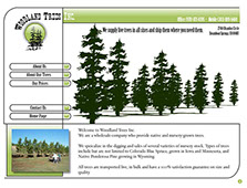 Woodland Trees - Design By Creative Bearings